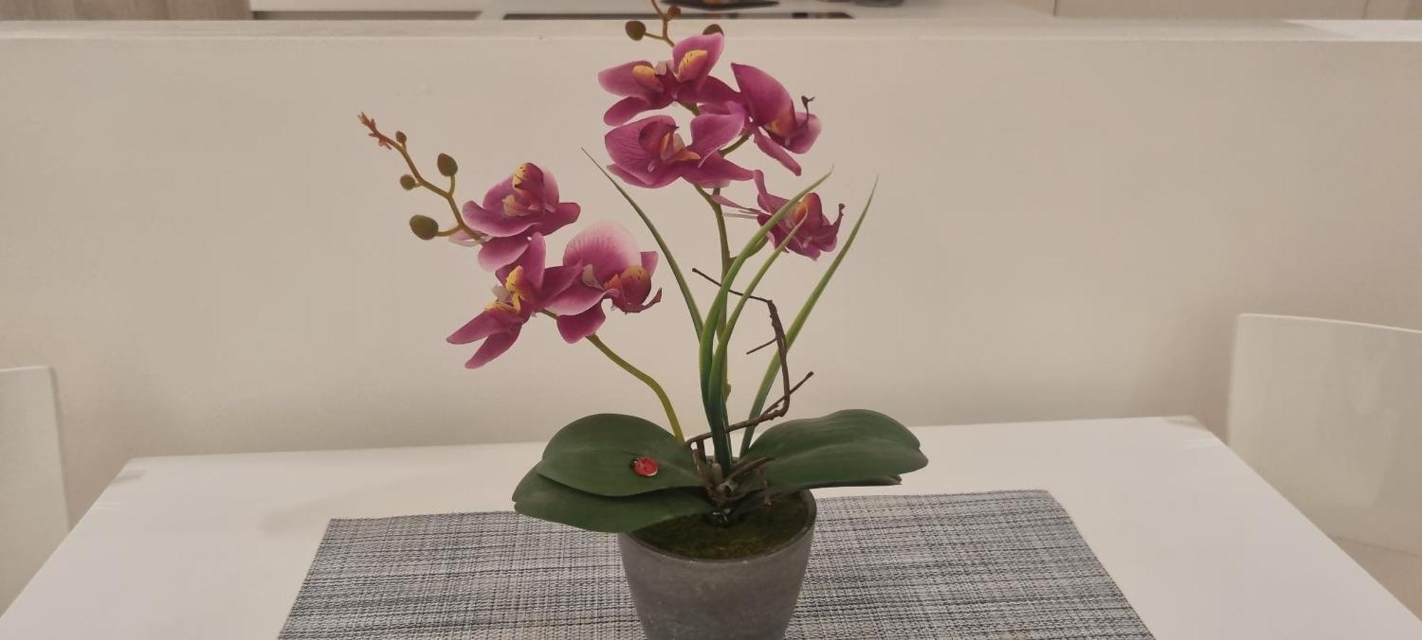 A Catania ...Casa Fabio Apartment Ngoại thất bức ảnh